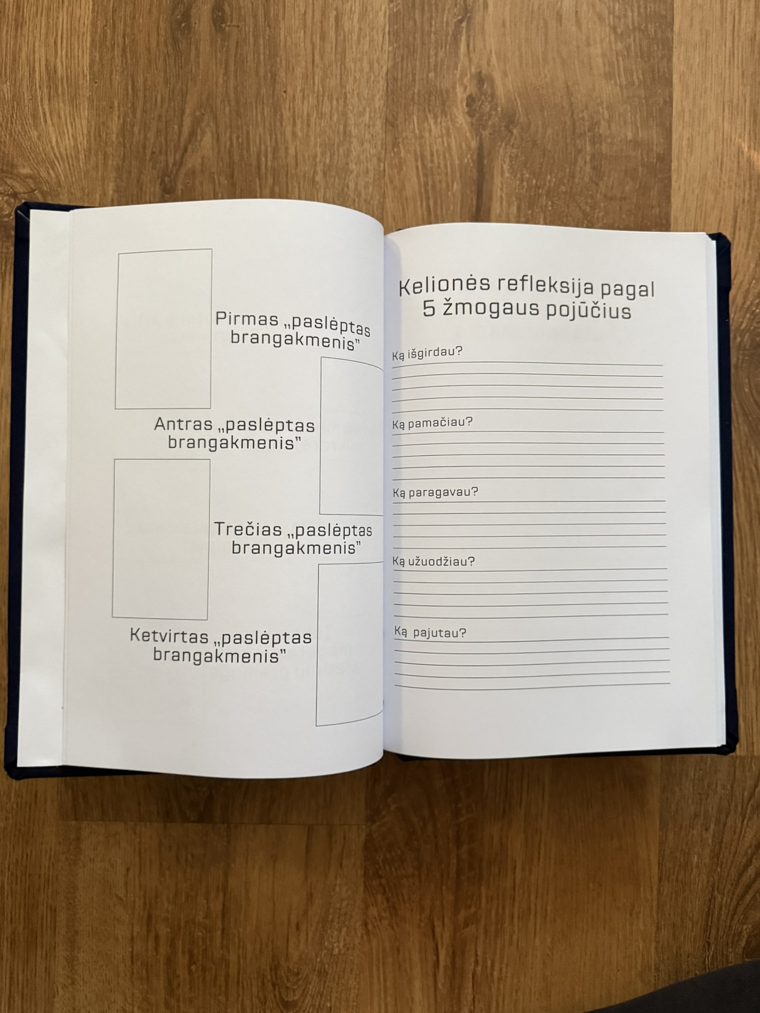 albumas ,,po lietuva" mėlynas